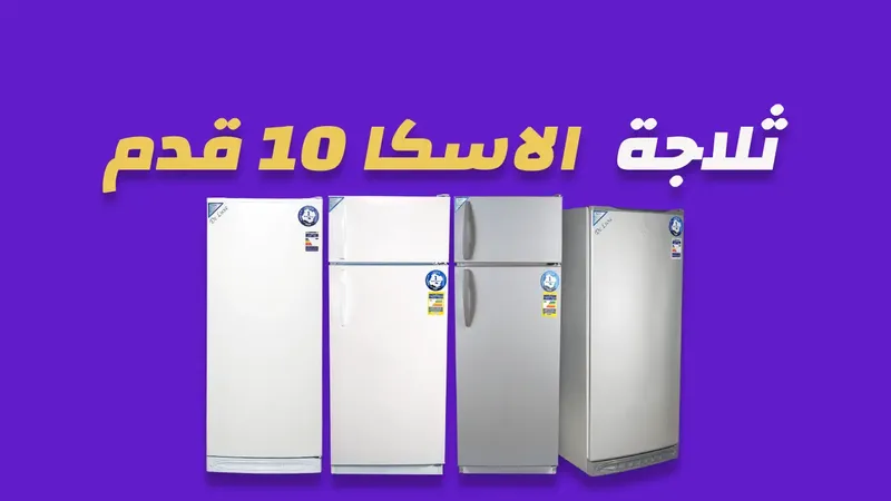 ثلاجة الاسكا 10 قدم
