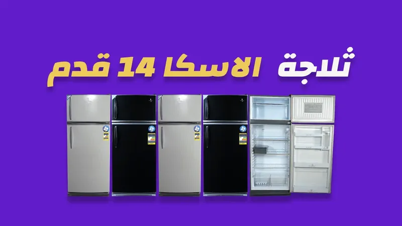 ثلاجة ألاسكا 14.5 قدم