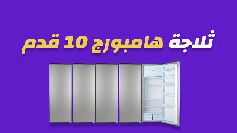 ثلاجة هامبورج 10 قدم